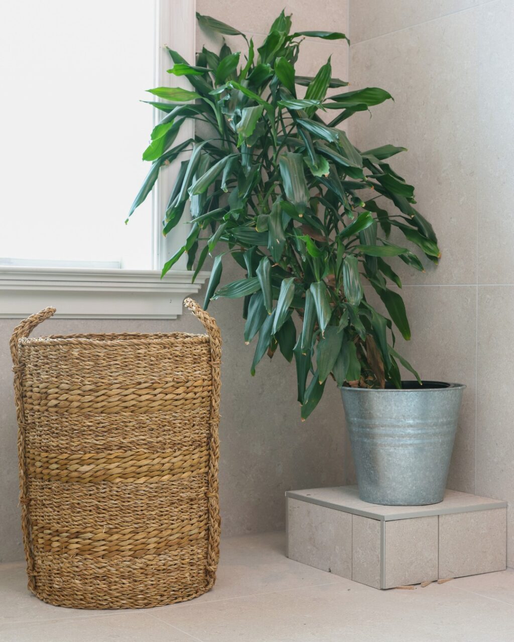 Instagram post from harenstams. This post is in position 6.